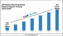 UAE Battery Recycling Market Share, Size & Competitive Analysis 2030