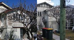 Bring Your Vision to Life with a Professional Interior Painter 