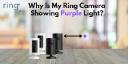 Why Is My Ring Camera Showing Purple Light?: How To Fix It