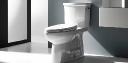 Reliable Comfort and Long-Lasting Quality: Glacier Bay Toilet Seats