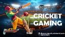 DiamondExch 2025: Real-Time Features for the Ultimate Cricket Fan Experience.