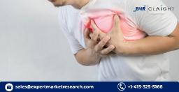 What is Driving the Growth of the Acute Care Market Globally?