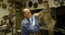 Deer Skull Mount: A Complete Guide to Choosing Skilled Taxidermists and Preserving Trophy Beauty
