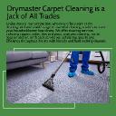 Drymaster Carpet Cleaning: Professional Carpet Care for a Cleaner, Healthier Home