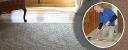 Choosing Reliable Carpet Repair Services In Your Local Area