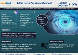 Machine Vision Market Share, Size and Key Trends Forecast to 2030