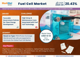 Fuel Cell Market Trends: Significant Growth Expected Through 2030