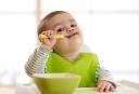 Mom-Approved Baby Food Products for Every Stage