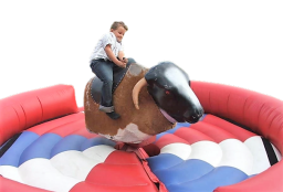 Rodeo Bull Hire 101: Everything You Need to Know