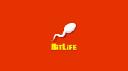 Discovering Life Through Choices: An Introduction to Bitlife