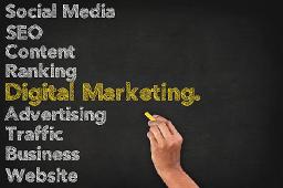 Trusted Digital Marketing Agency in Delhi for Small and Large Businesses?
