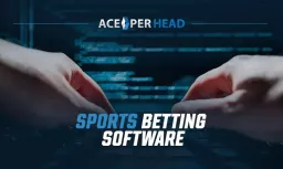 Grow a Profitable Betting Business with Reliable sportsbook software 