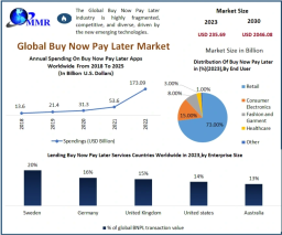 Buy Now Pay Later Market Insights: Regional and Global Perspectives 2030