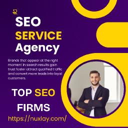 Top Seo Firms Recommendation Nuxlay for Real Resul