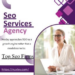 Seo services agency Nuxlay Trusted by Global Businesses