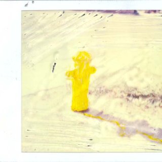 SMALL_YELLOW_HYDRANT.jpg