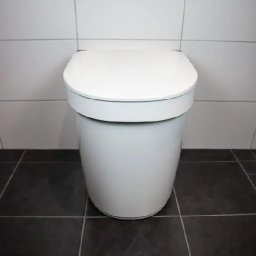 1270-Tiny-Bathroom-front-570x620.jpg.jpg