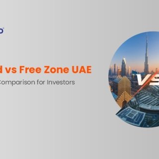 mainland vs free zone uae.jpg