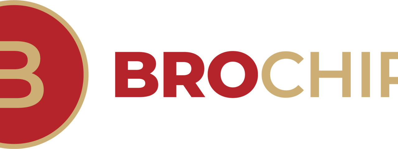 BroChips
