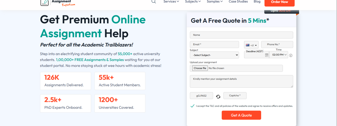 Online Assignment Expert
