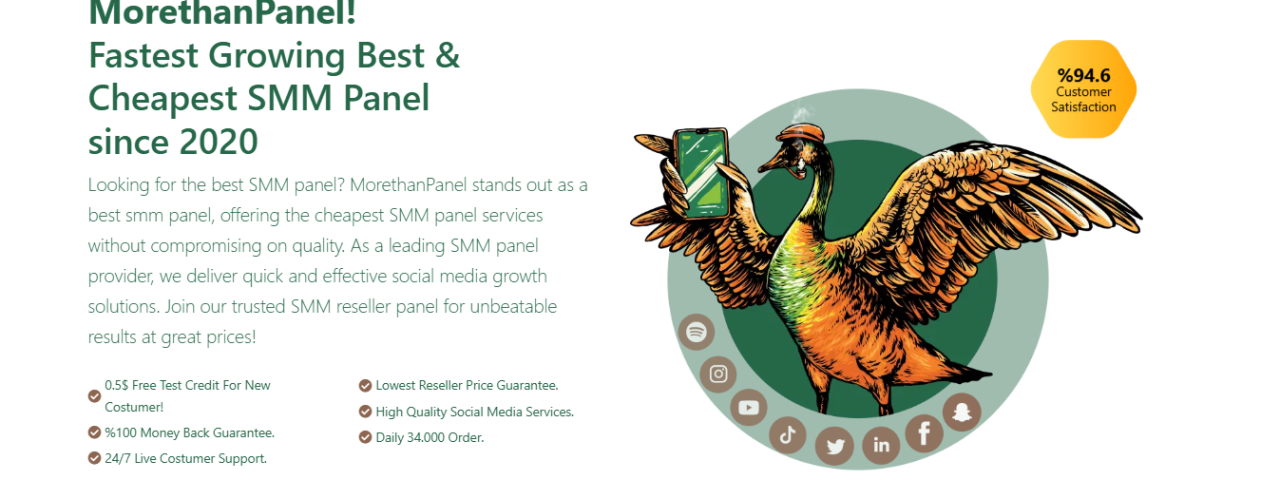 MoreThanPanel