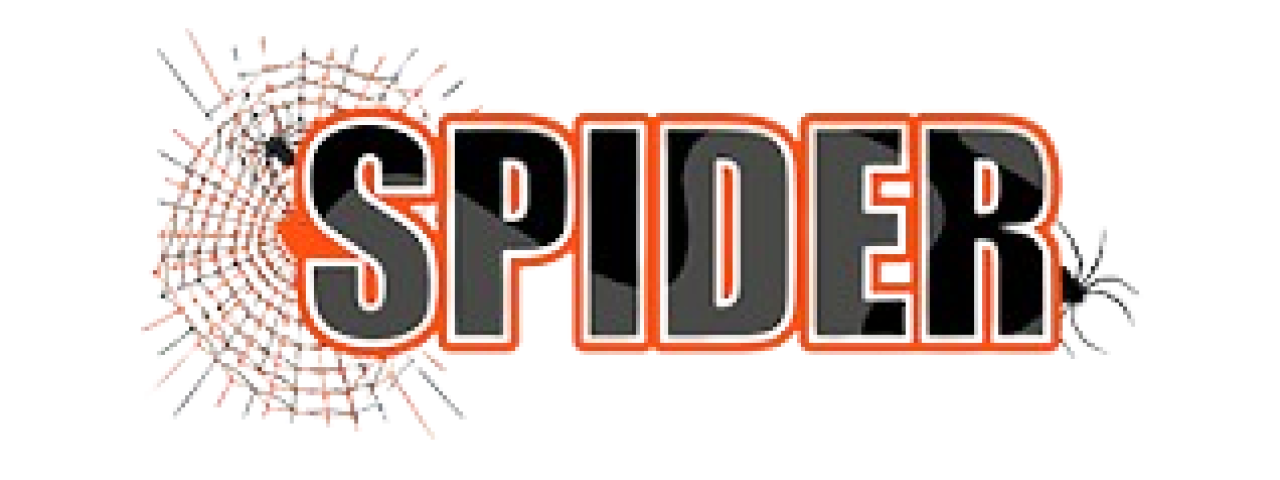 thespiderhoodie