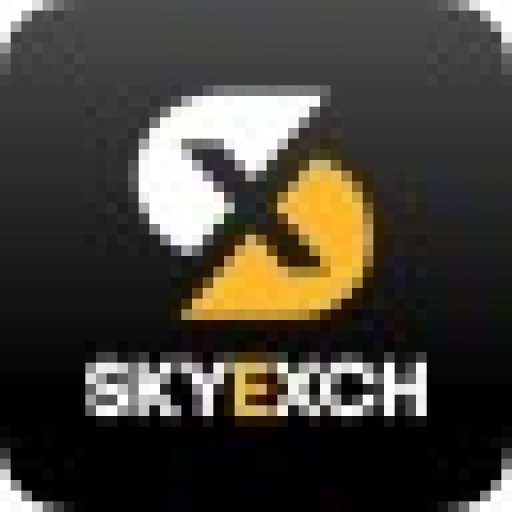 SkyExchange