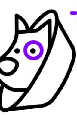 focuspetcare