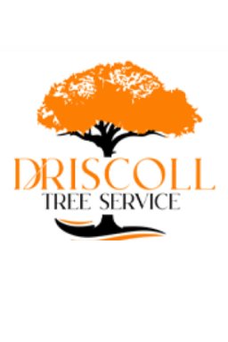 driscolltreeservice