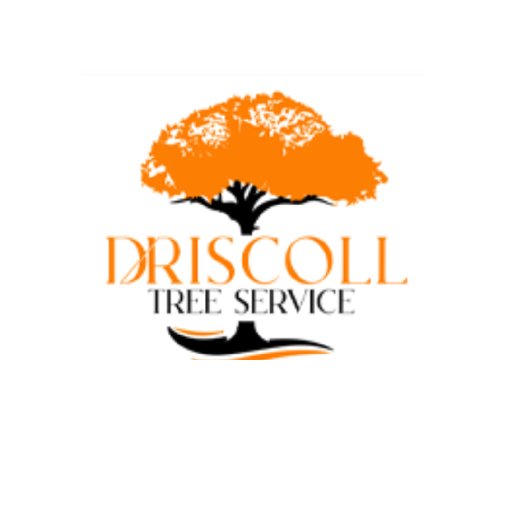 driscolltreeservice