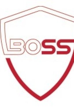 Boss Security Guard Services Edmonton