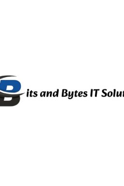bitsandbytesitsolutiondelhi