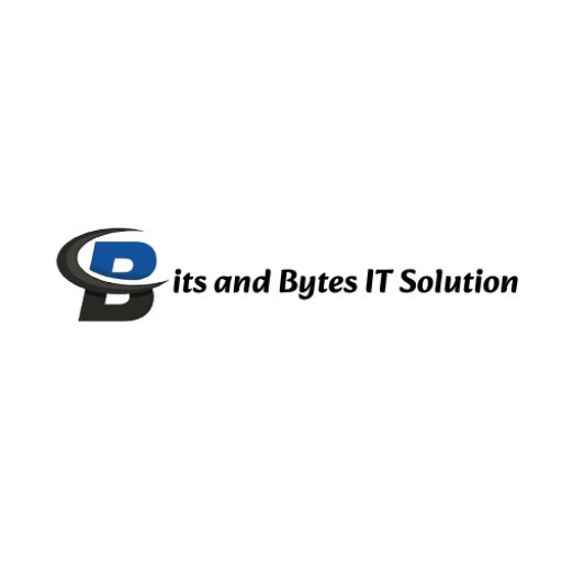 bitsandbytesitsolutiondelhi
