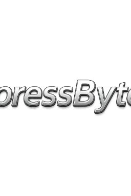 Xpress Bytes