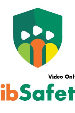 vibsafetylms