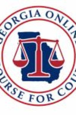 Georgia Online Course For Court