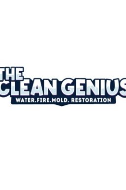 thecleangenius