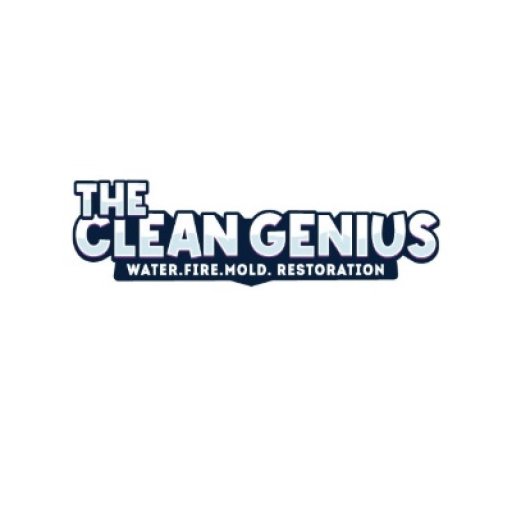 thecleangenius