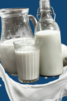 fresh milk in dubai