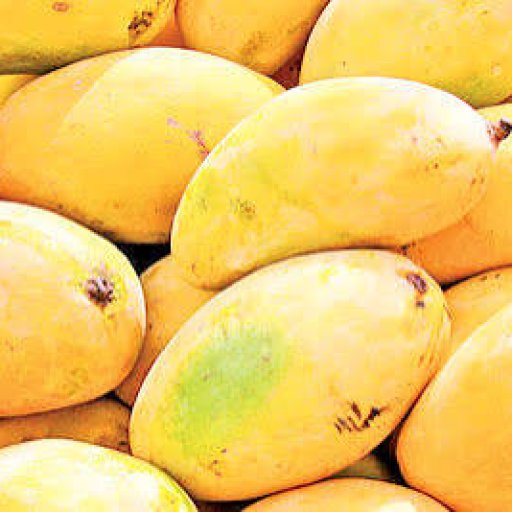 Best Pakistani Mangoes Online