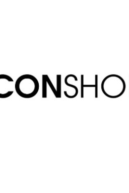 ICON SHOE