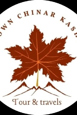 brownchinarkashmir