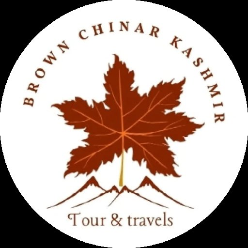 brownchinarkashmir