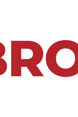 BroChips