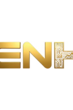 enh consulting