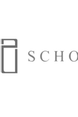 The Schon