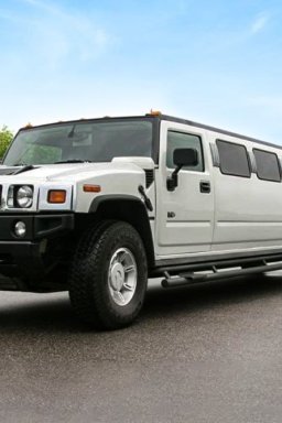 Mississauga Limo Services