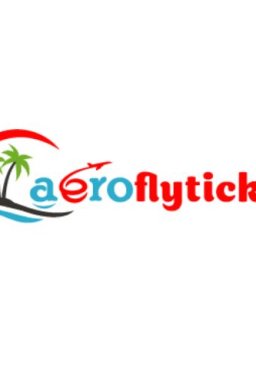 aerofly_ticket