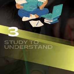 Study Strategies for Online Biology Class